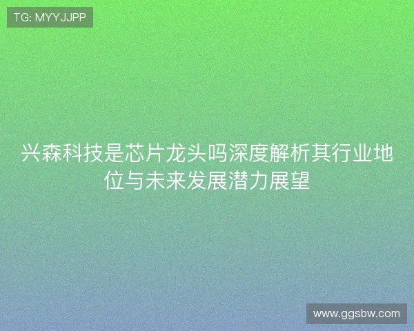 兴森科技是芯片龙头吗深度解析其行业地位与未来发展潜力展望